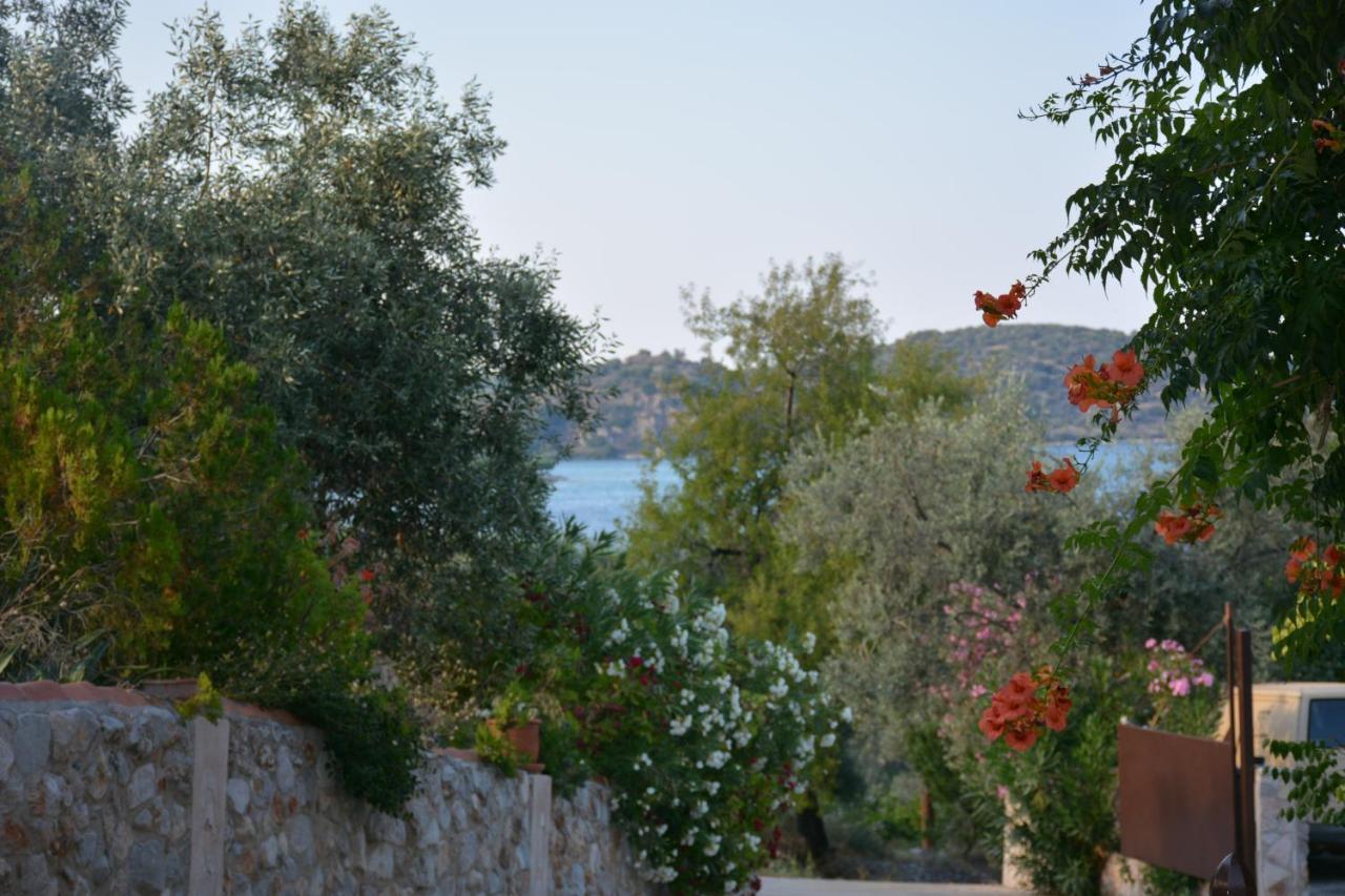 Aristotelis Epidaurus Екстер'єр фото