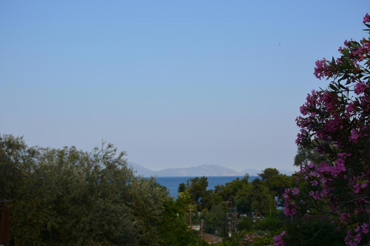 Aristotelis Epidaurus Екстер'єр фото